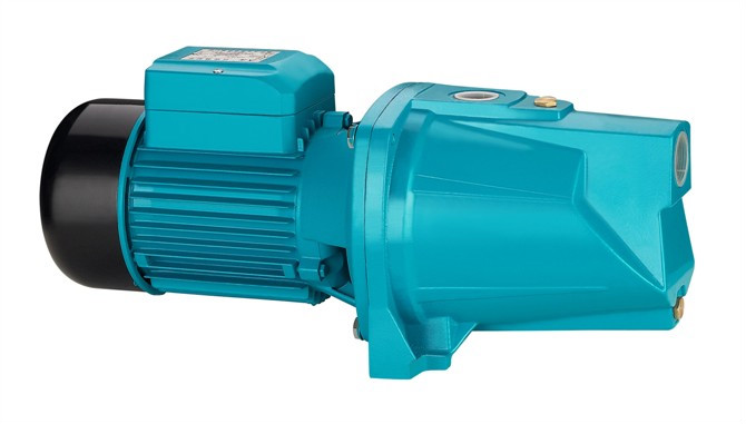 草莓免费视频 草莓免费视频